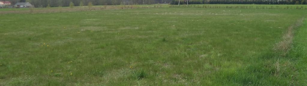 Działka 20.000 m2, zgierz