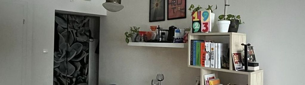 Wola | kawalerka | blisko arkadii