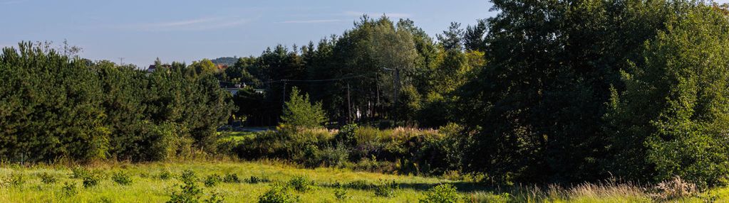 Działka 2676 m² z mediami – roczyny