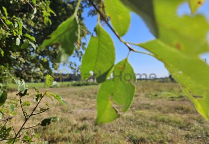 Działka przy lesie - 1000 m²