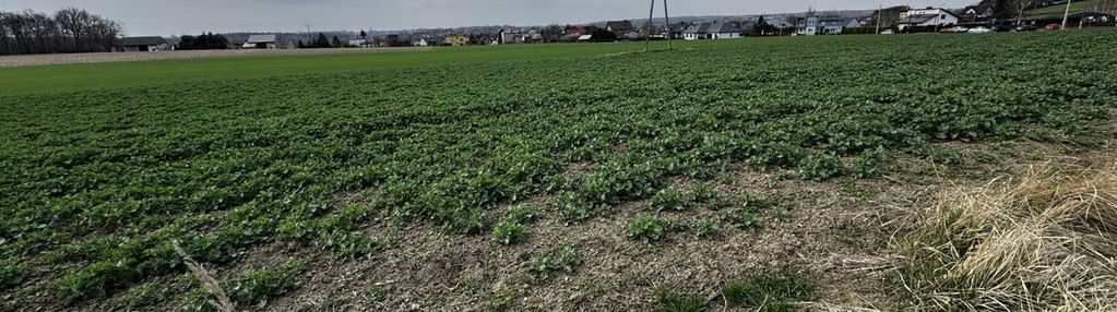 Turza śląska: działka deweloperska premium