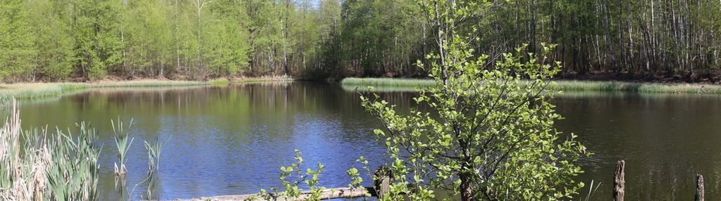 Działka z prywatnym jeziorem i wz. mazury 5,3 ha.