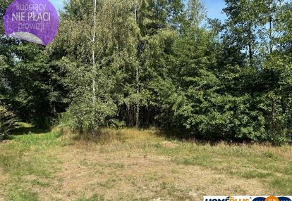 Duża, cicha działka w otulinie lasu - bez prowizji