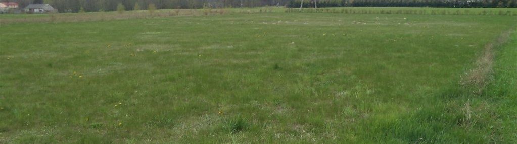 Działka 2500m2, janów