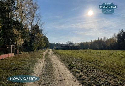 Leśna oaza – spokój, natura, twój dom