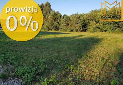 Piękna działka - 16 arów, kurnos pierwszy