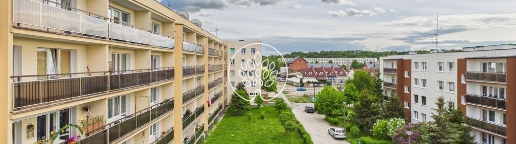 Trzy pokoje w koronowie hit!