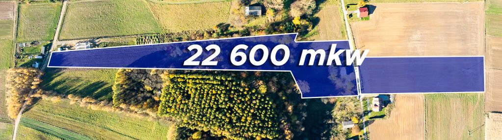 Dom z kawałkiem lasu i bijącym źródłem k\skały