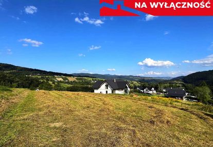Działka z wz | 5291 m2 | widok na pieniny