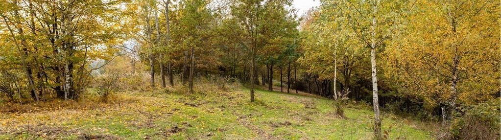 Działka leśna 862 m² w oczkowie