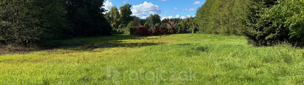 M/u31 - zabudowa mieszkaniowo-usługowa