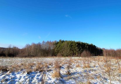 Działka 6600 m2, ćmińsk (gm. miedziana góra)