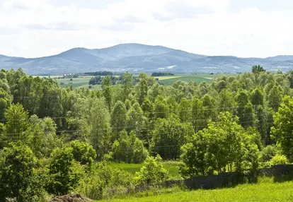 Działka na sprzedaż 2000m2