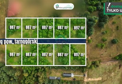 Twoje miejsce na dom – działki budowlane | koty