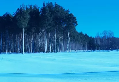 Działka na sprzedaż 1550m2