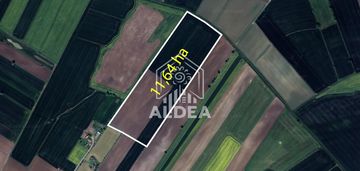 11,64 ha | działka rolna | szropy | szer. 190m |