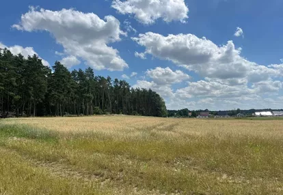 Działki Podańsko, koło Goleniowa, blisko Szczecin