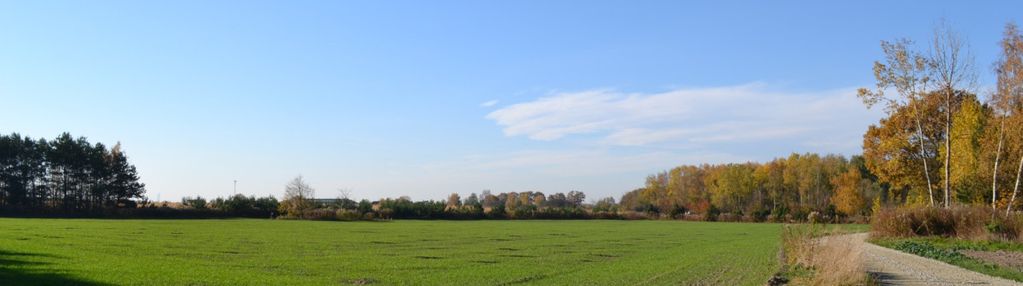 Działka z pozwoleniem na budowę pod wrocławiem 