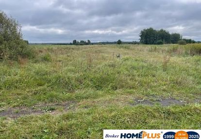 Działka rolna 6000 m² pod hodowlę i uprawy