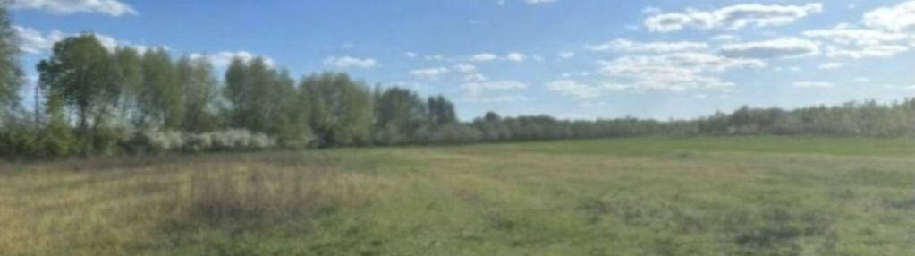 Działka wśród zieleni