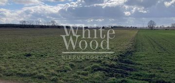 Deszczno k. gorzowa - działki z gotową koncepcją w