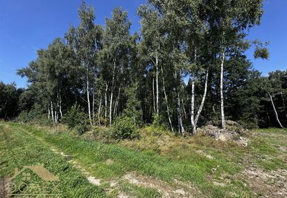 Działka 54 ary – kokoszyce, wodzisław śląski, las