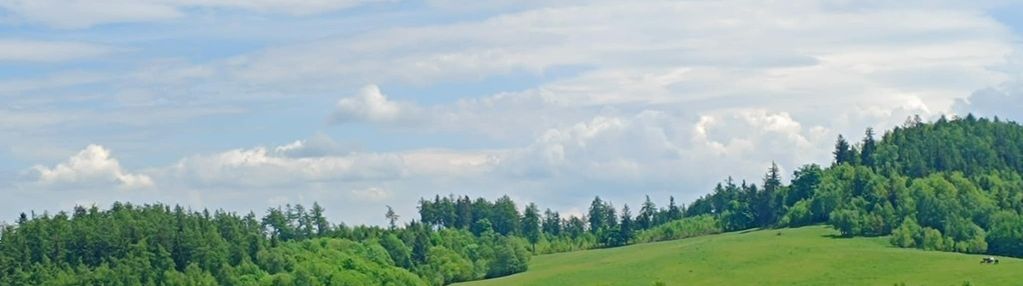 Działka budowlana 3 km od wałbrzycha