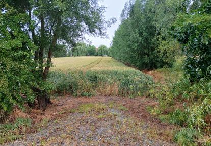 Działka budowlana 1080 m² – ostaszewo | wz | media