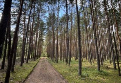 Na sprzedaż: dwie działki letniskowe (mpzp)