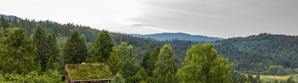 Działka nad sanem w bieszczadach