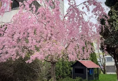 Bemowo, dwupoziomowy apartament z widokiem na park