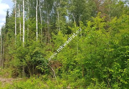 Działka 5000 m² piotrkowice