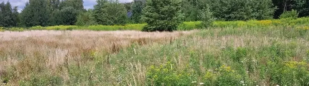 Działka na sprzedaż 1000m2