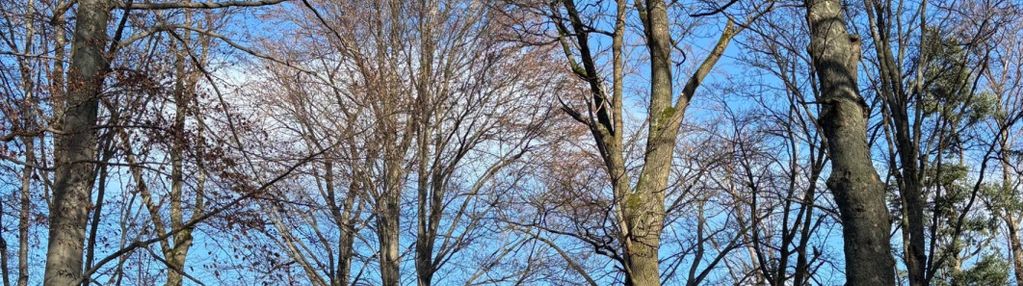 Apartament inwestycyjny w karpaczu.