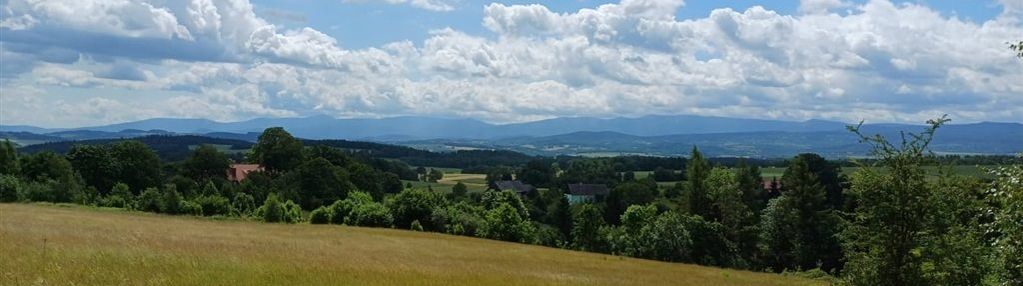 Dom i zabudowa gospodarcza na działce 4,6 ha