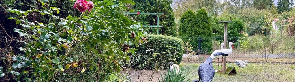 Rod myślęcinek solidny, murowany, dom na lata