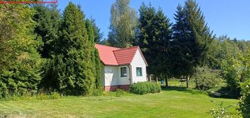 Działka 8,75ar z drewnianym domkiem tylicz
