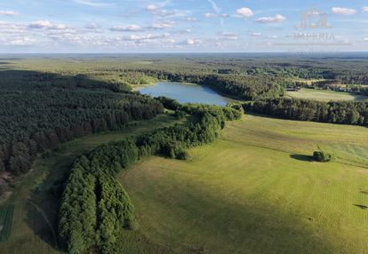 3,3 ha w sercu borów tucholskich - łąki las mermet