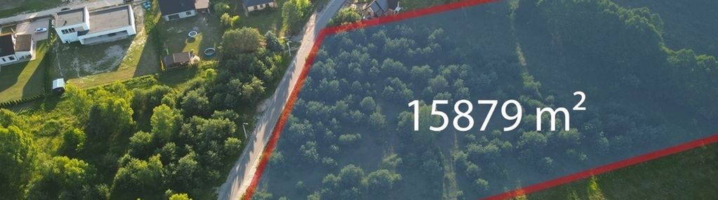 Duża działka 1,5 ha pod dom lub stadninę jadwinin