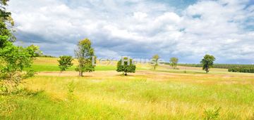 Ostatnie działki budowlane w puszczy bukowej.
