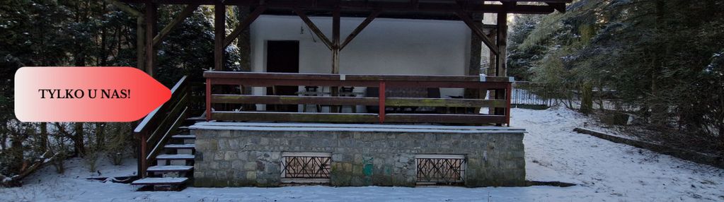 Dom w lesie z linią brzegową jeziora