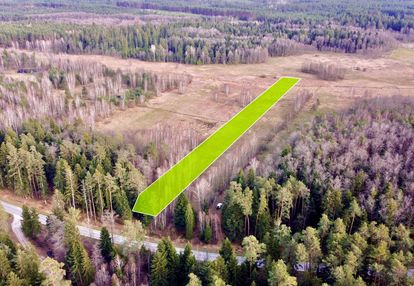 Działka w środku lasu z wz | wolaniny