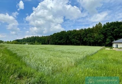 22 arowa działka przy lesie na widnej górze