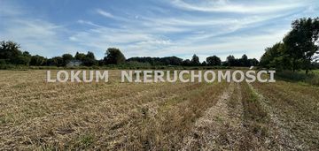 Działka rolna zebrzydowice