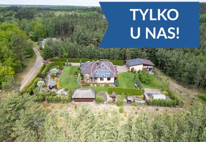 Dom w środku własnego lasu. cisza i spokój