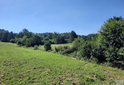 Działki pod lasem makowa gmina fredropol