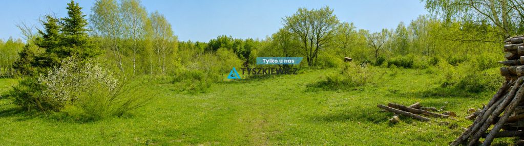 Duża działka 2167 m² wrzeście