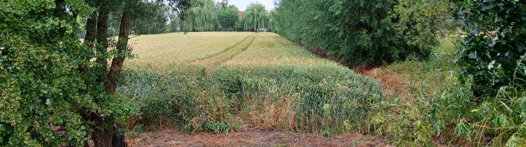 Działka budowlana 1080 m² – ostaszewo | wz | media