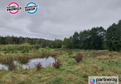 Działka ze stawami otoczona lasem