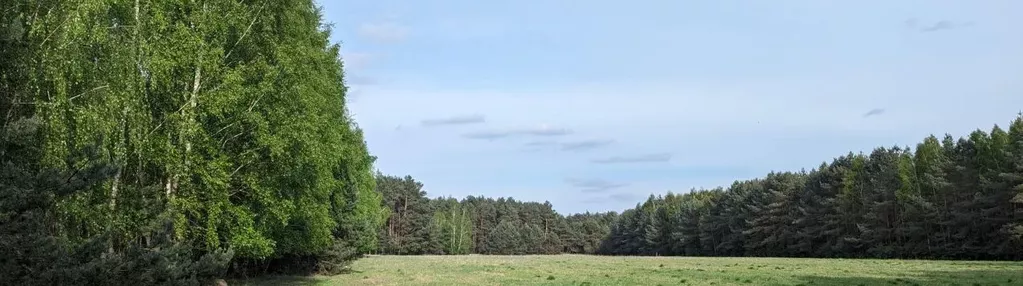 Działka na sprzedaż 256m2